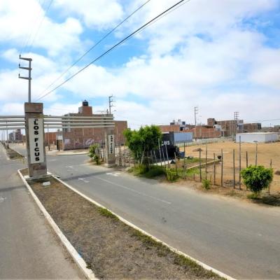 VENTA DE TERRENOS EN URB. LOS FICUS, PIMENTEL